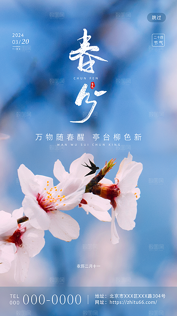 春分节气海报图片