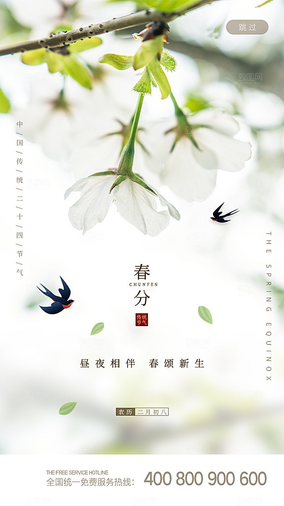 春分节气海报图片