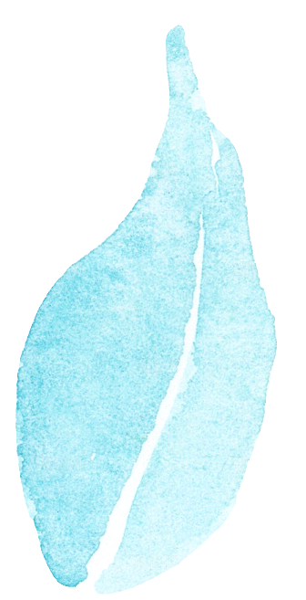 手绘卡通树叶花装饰素材