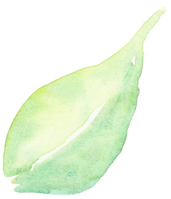 手绘卡通树叶花装饰素材