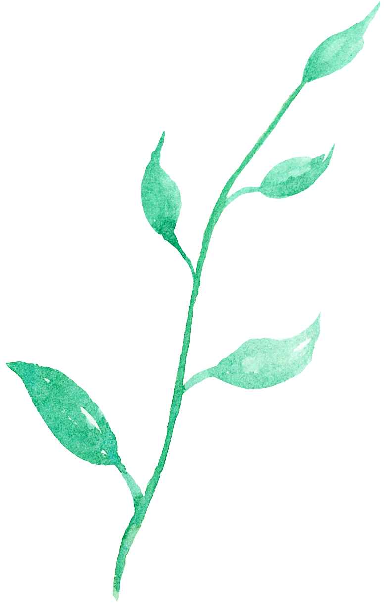 手绘卡通树叶花装饰素材