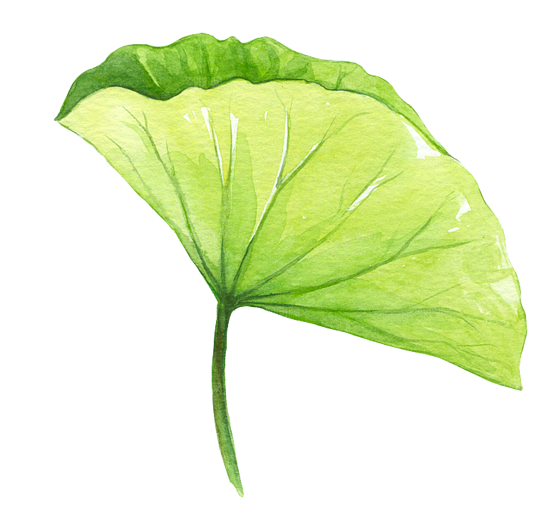 手绘卡通树叶花装饰素材
