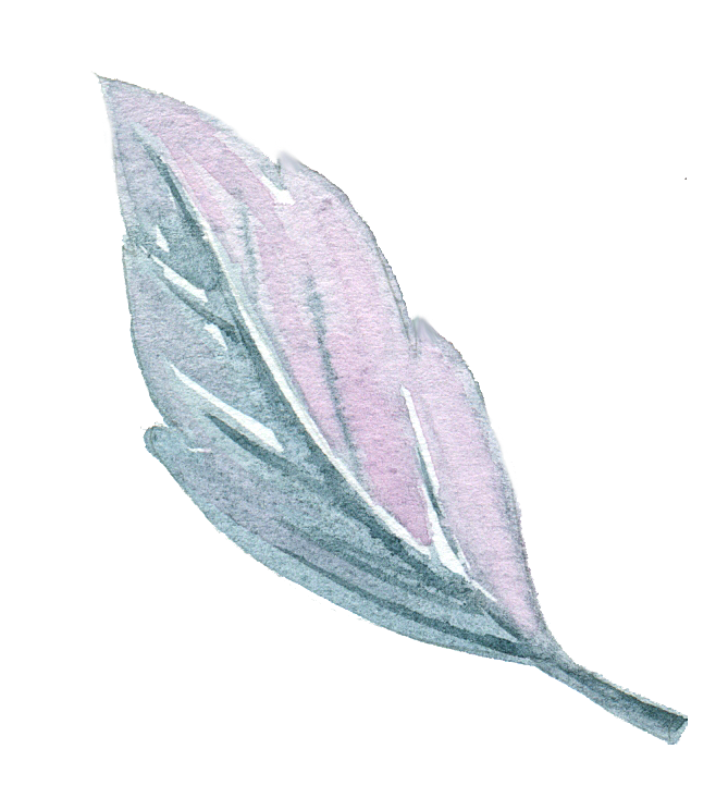 手绘卡通树叶花装饰素材