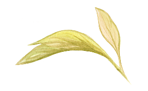 唯美小清新花卉树叶免扣元素