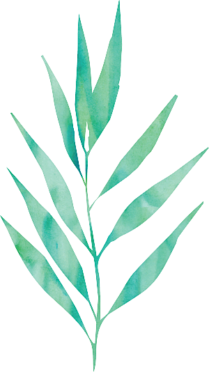 唯美小清新花卉树叶免扣元素