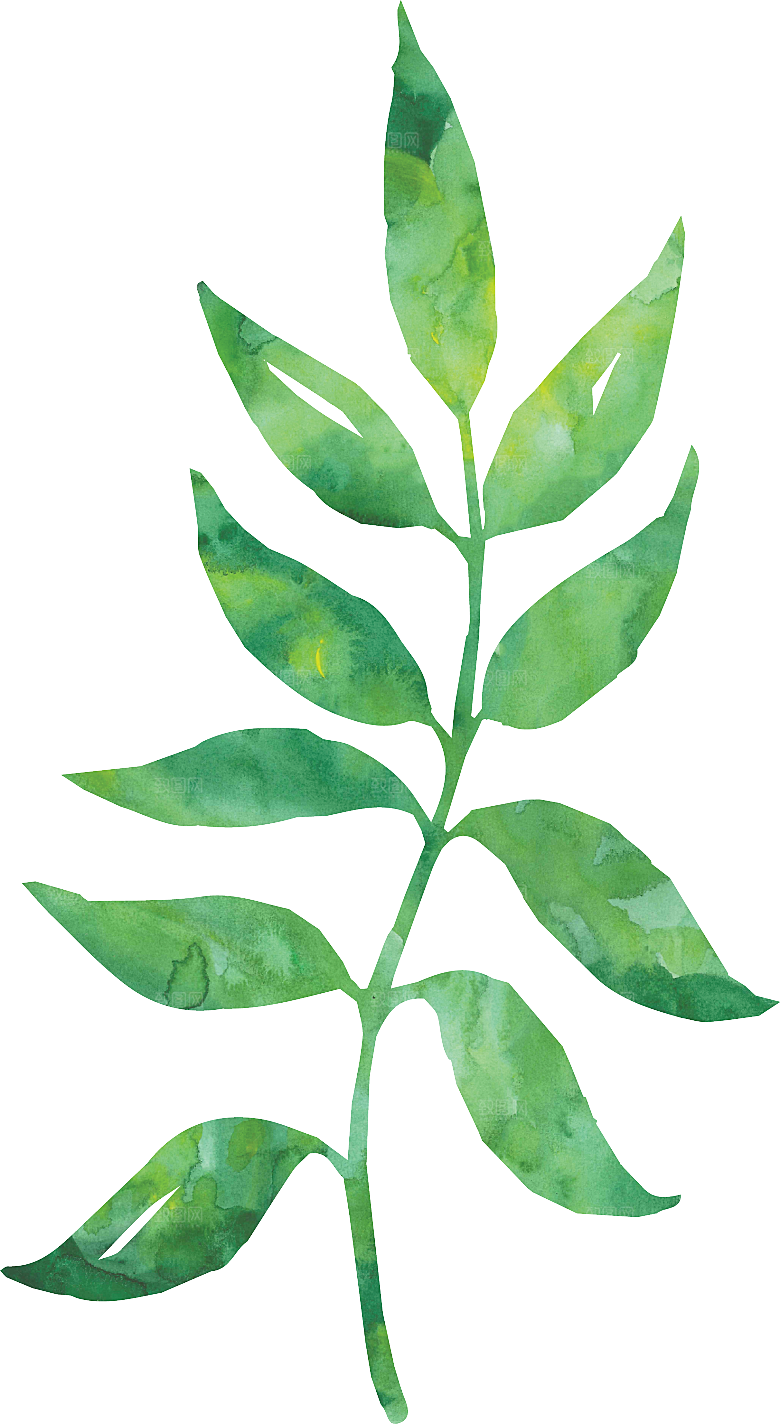 手绘卡通树叶花装饰素材