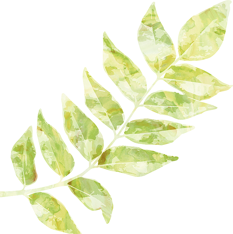 手绘卡通树叶花装饰素材