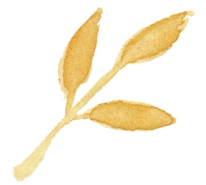 手绘卡通树叶花装饰素材