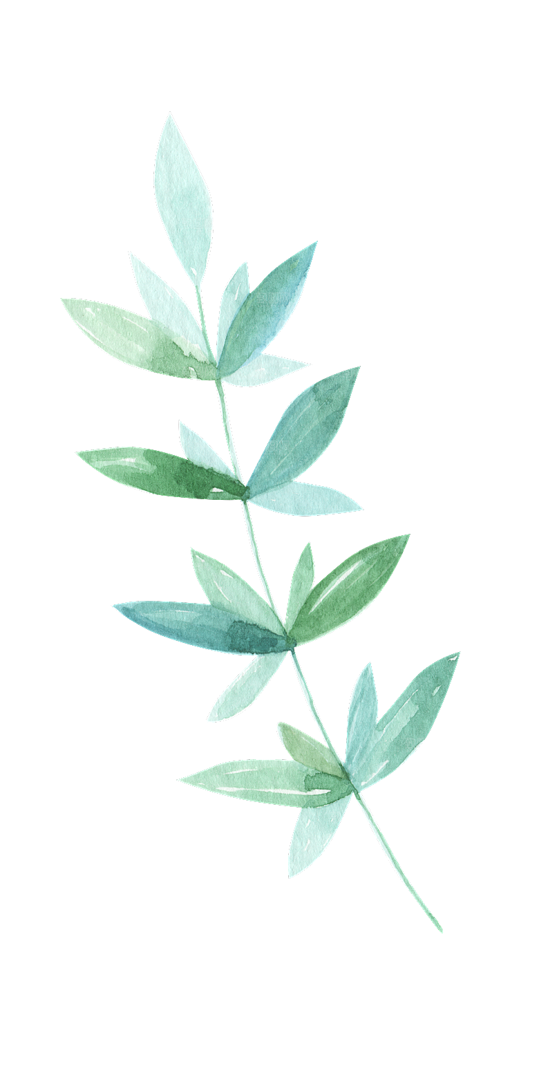 手绘卡通树叶花装饰素材
