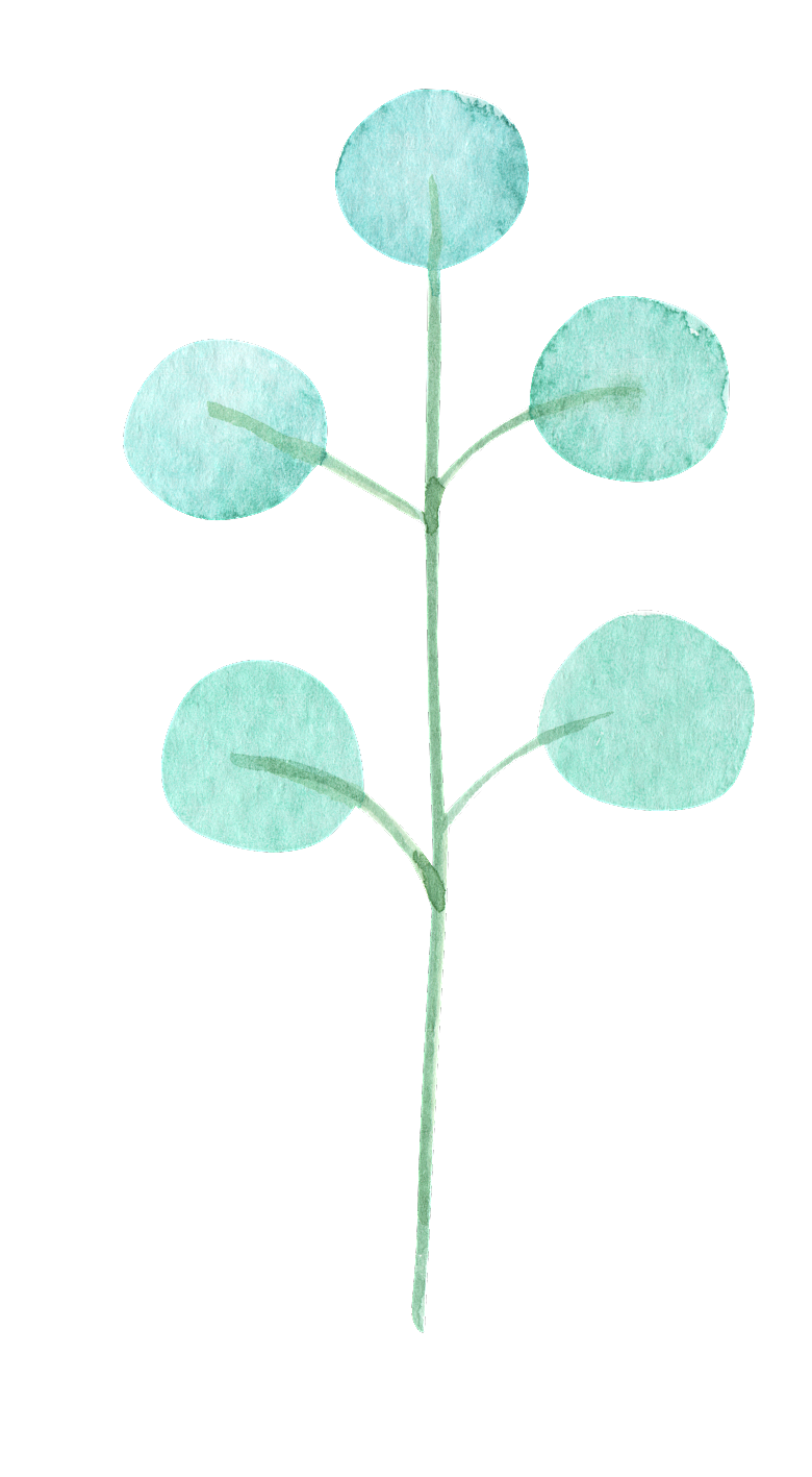 手绘卡通树叶花装饰素材
