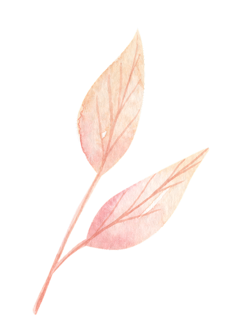 手绘卡通树叶花装饰素材