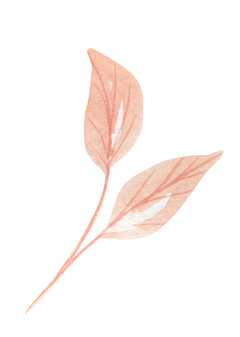 手绘卡通树叶花装饰素材