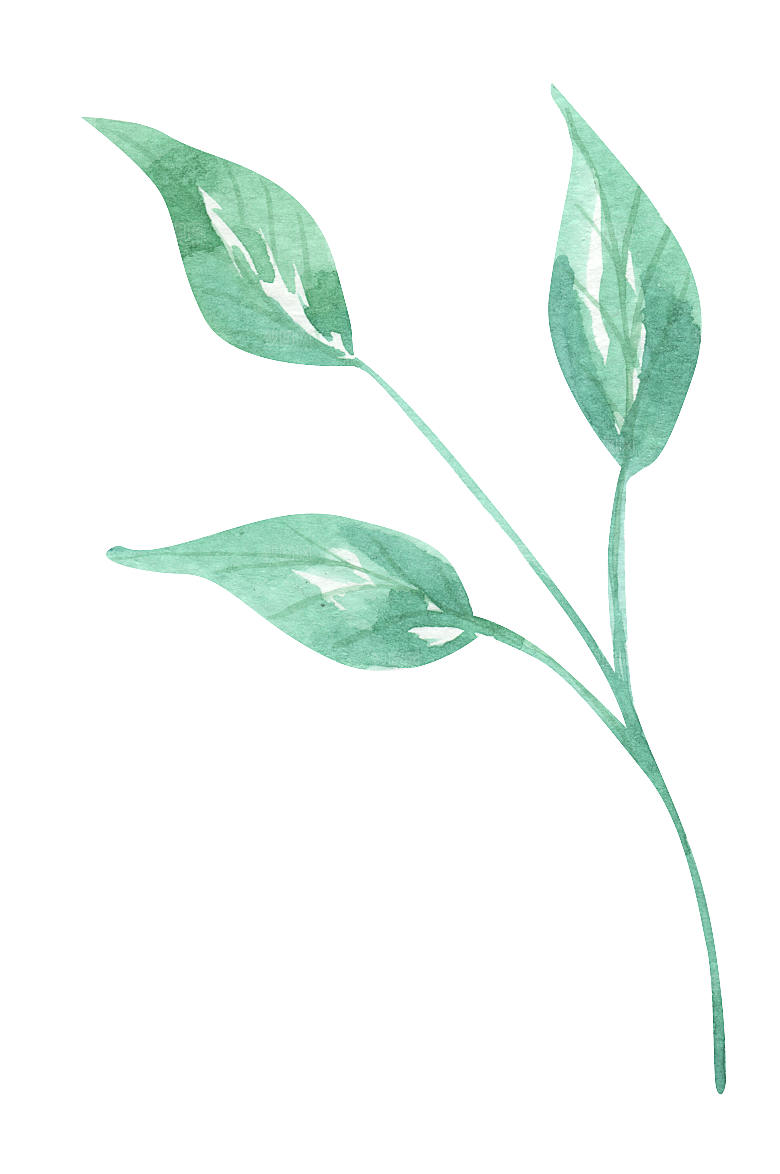 手绘卡通树叶花装饰素材