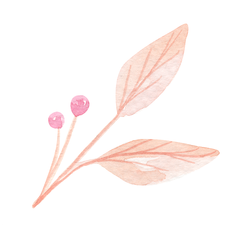唯美小清新花卉树叶免扣元素