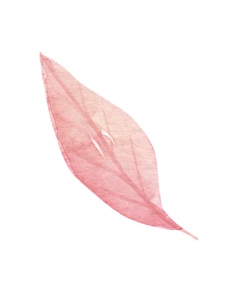唯美小清新花卉树叶免扣元素
