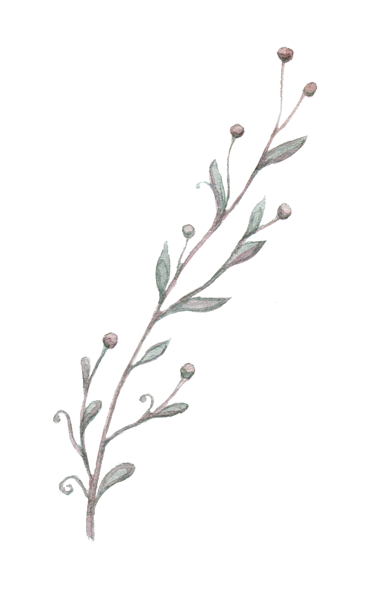 手绘卡通树叶花装饰素材
