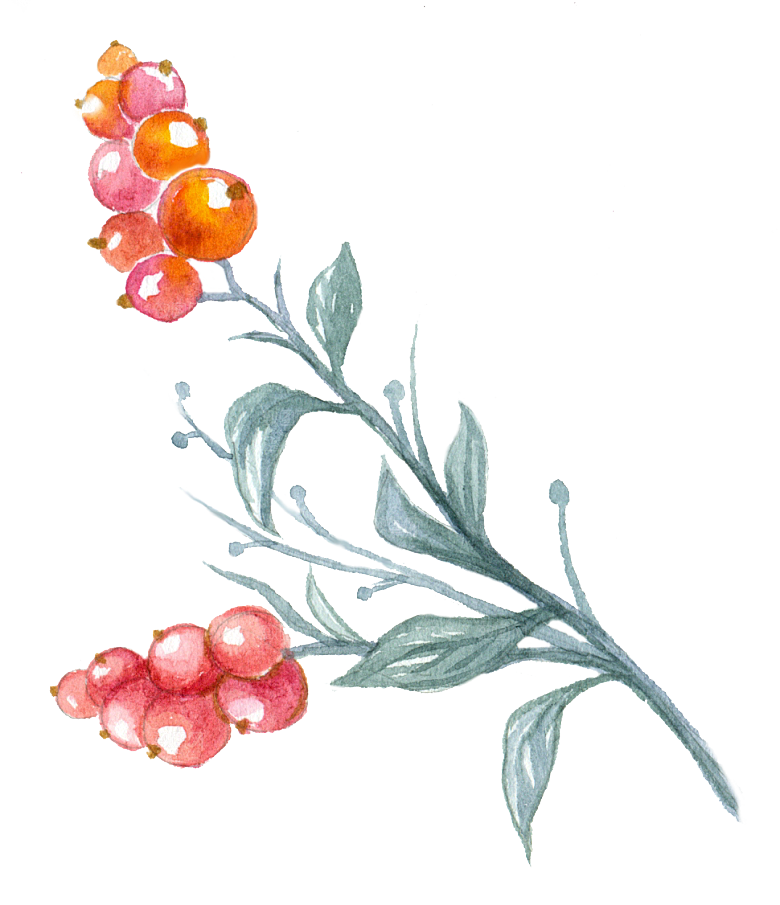手绘卡通树叶花装饰素材