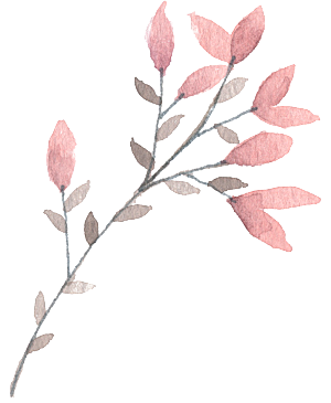 唯美小清新花卉树叶免扣元素