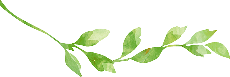 唯美小清新花卉树叶免扣元素
