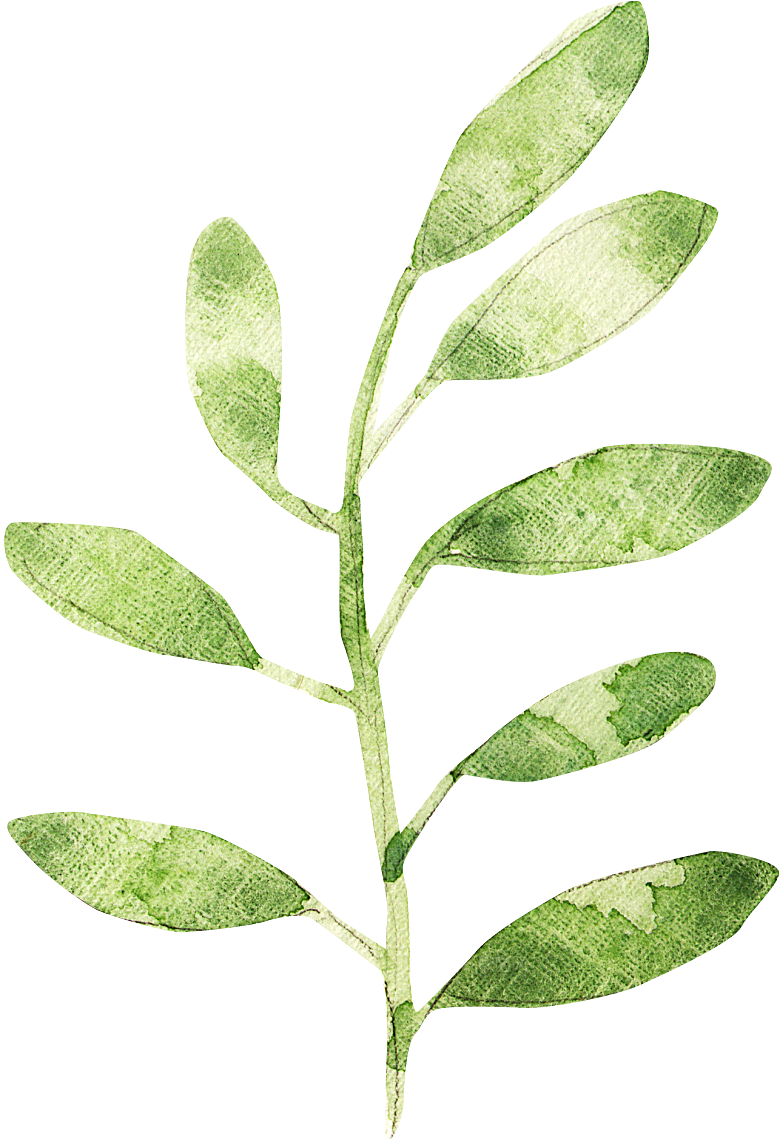 手绘卡通树叶花装饰素材