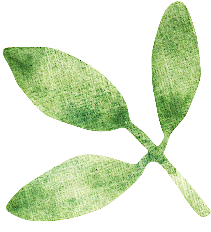 手绘卡通树叶花装饰素材