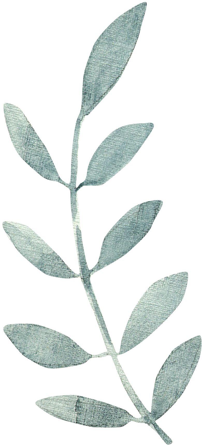 手绘卡通树叶花装饰素材