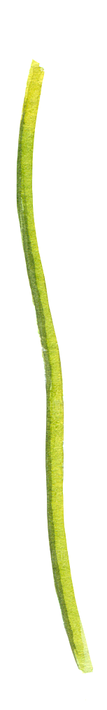 手绘卡通树叶花装饰素材