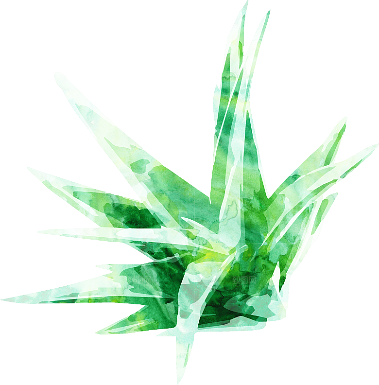 手绘卡通树叶花装饰素材