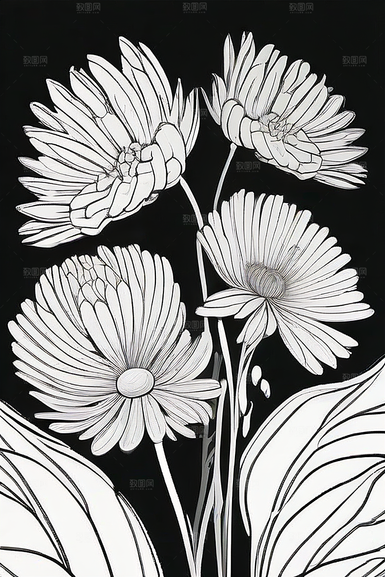 菊花线描作品细腻优雅的轮廓