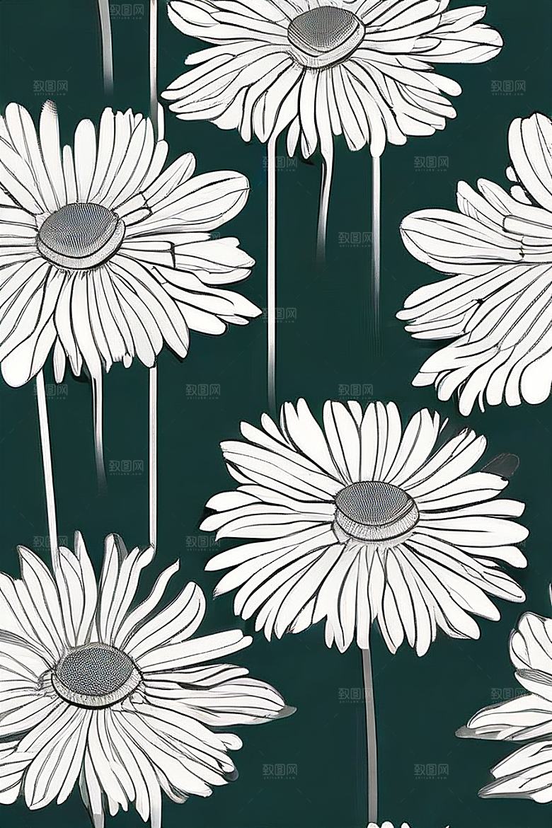 手绘植物插画纯白背景菊花