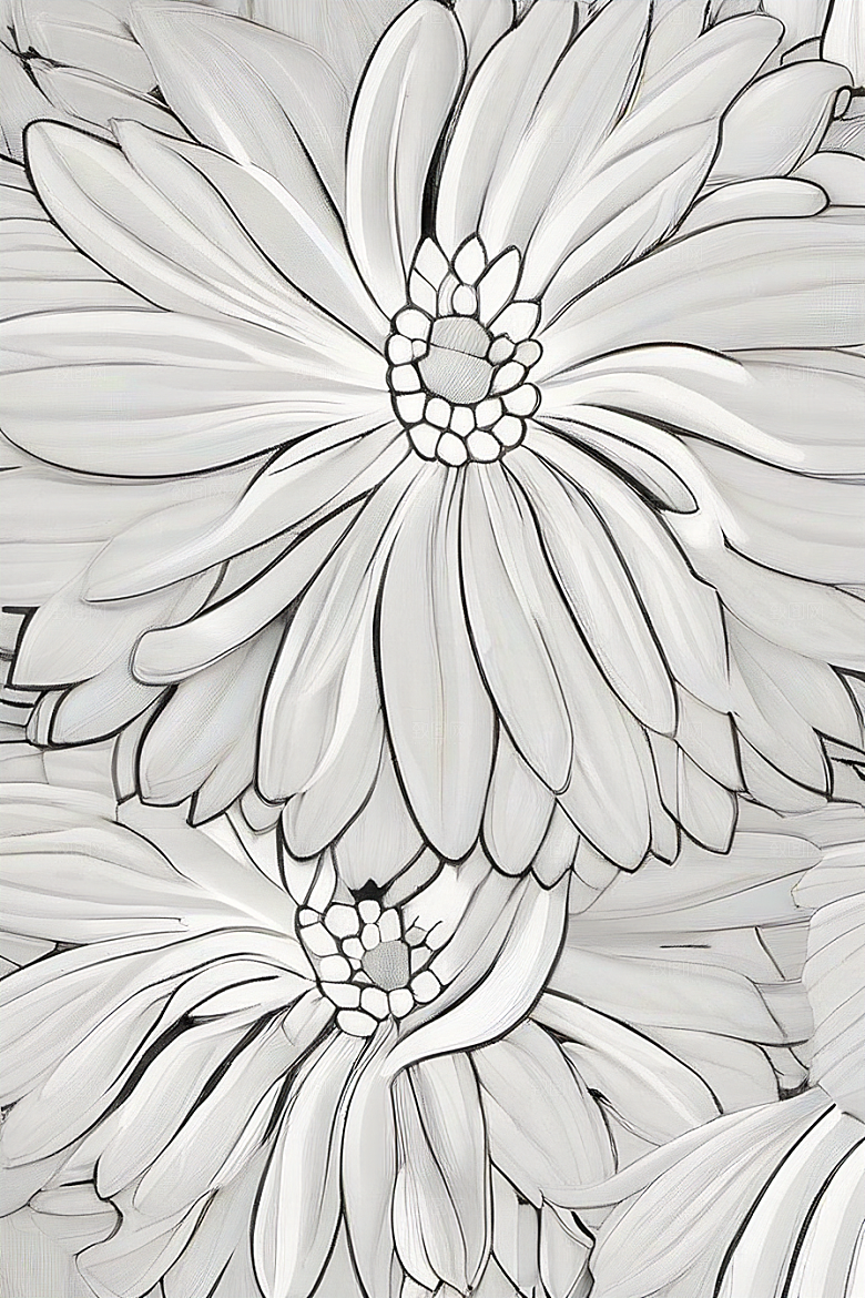 手绘植物插画纯白背景菊花