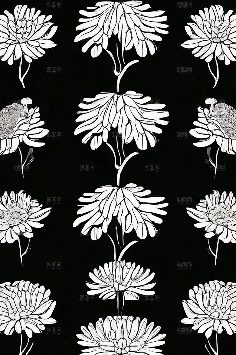 简洁线条勾勒的菊花插画