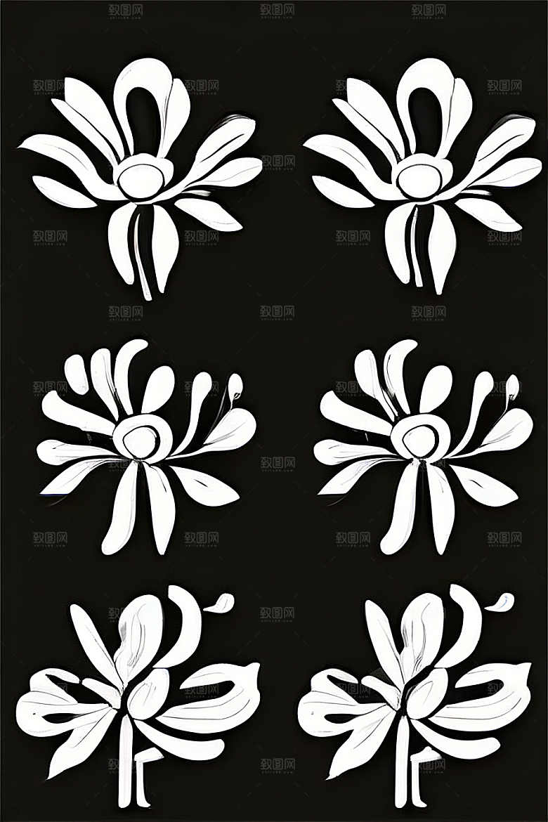 简洁线条勾勒的菊花插画
