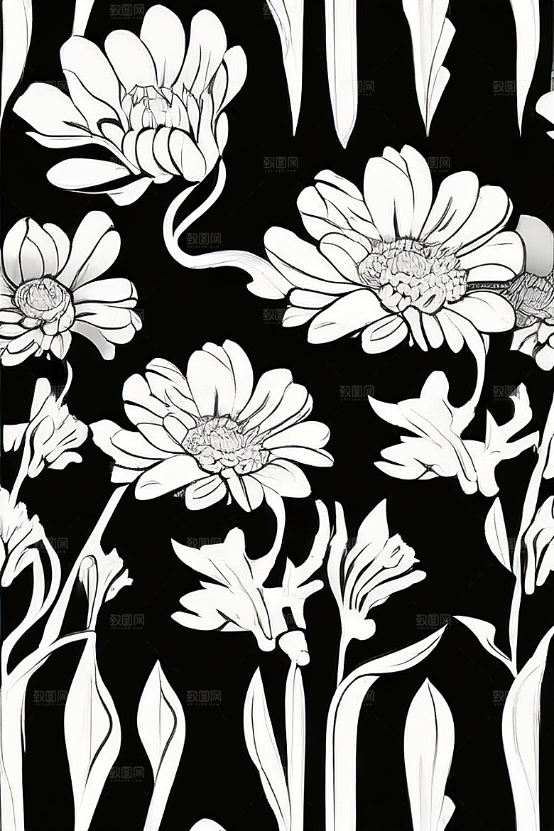 简洁线条勾勒的菊花插画