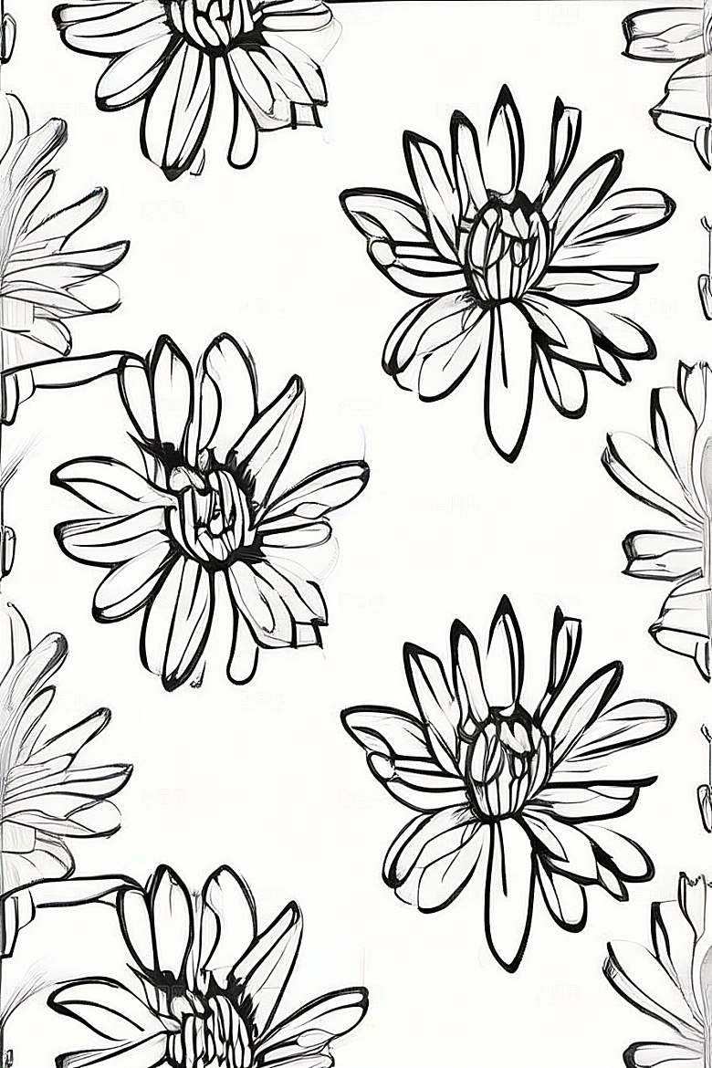细腻优雅的菊花线描作品