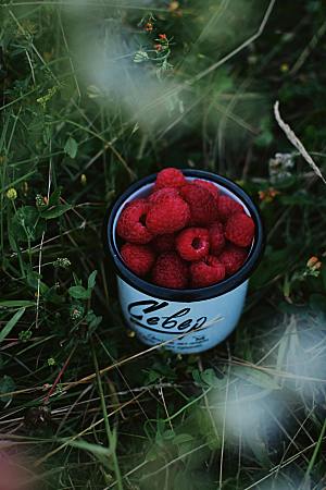 树莓水果特写摄影