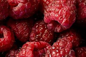 摄影特写水果树莓素材
