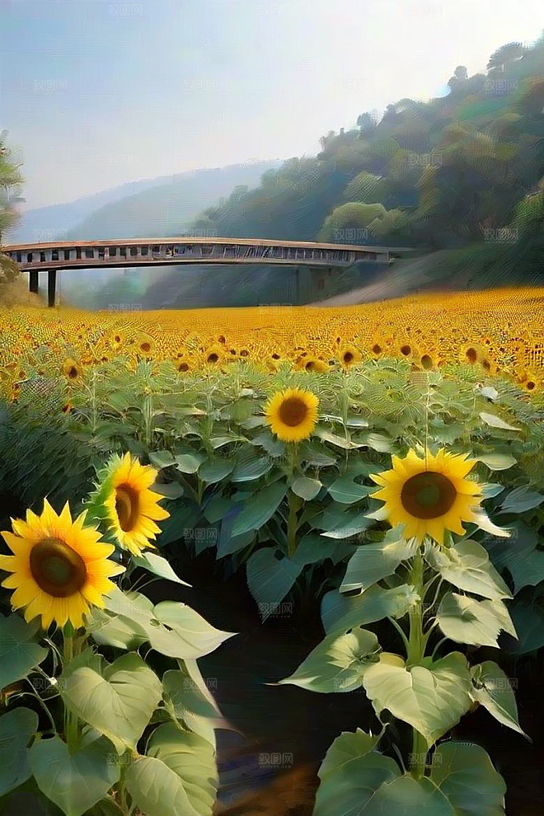 天堂之路太阳花引路桥梁相伴