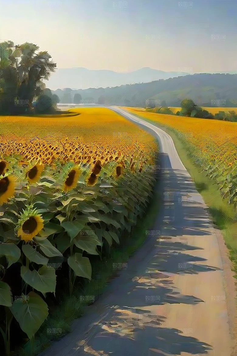 悠然之美太阳花公路与桥梁的宁静景观