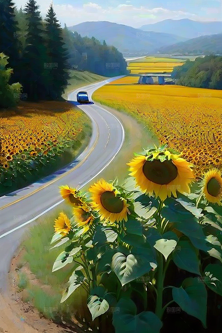 悠然之美太阳花公路与桥梁的宁静景观