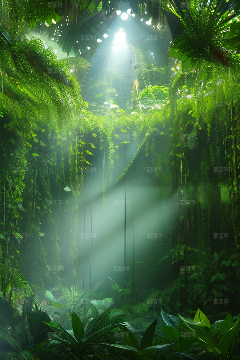透明的热带雨林真实的光源照亮远处