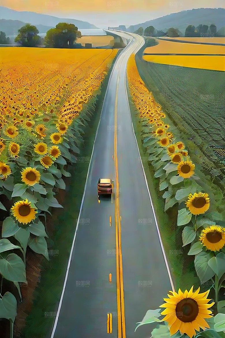 悠然之美太阳花公路与桥梁的宁静景观