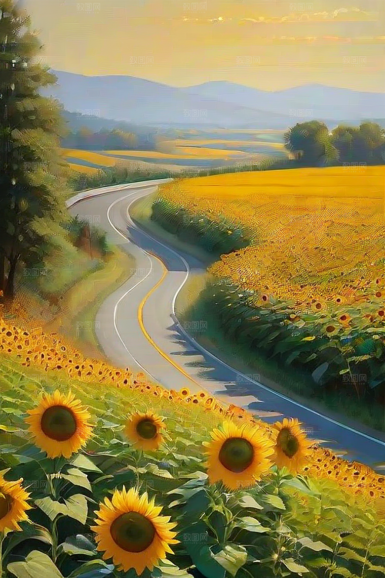 悠然之美太阳花公路与桥梁的宁静景观