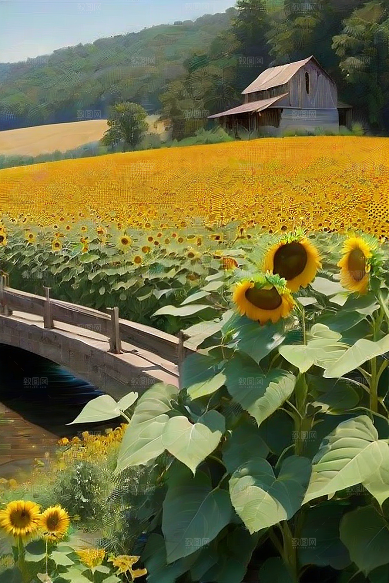 太阳花与桥梁的和谐画面