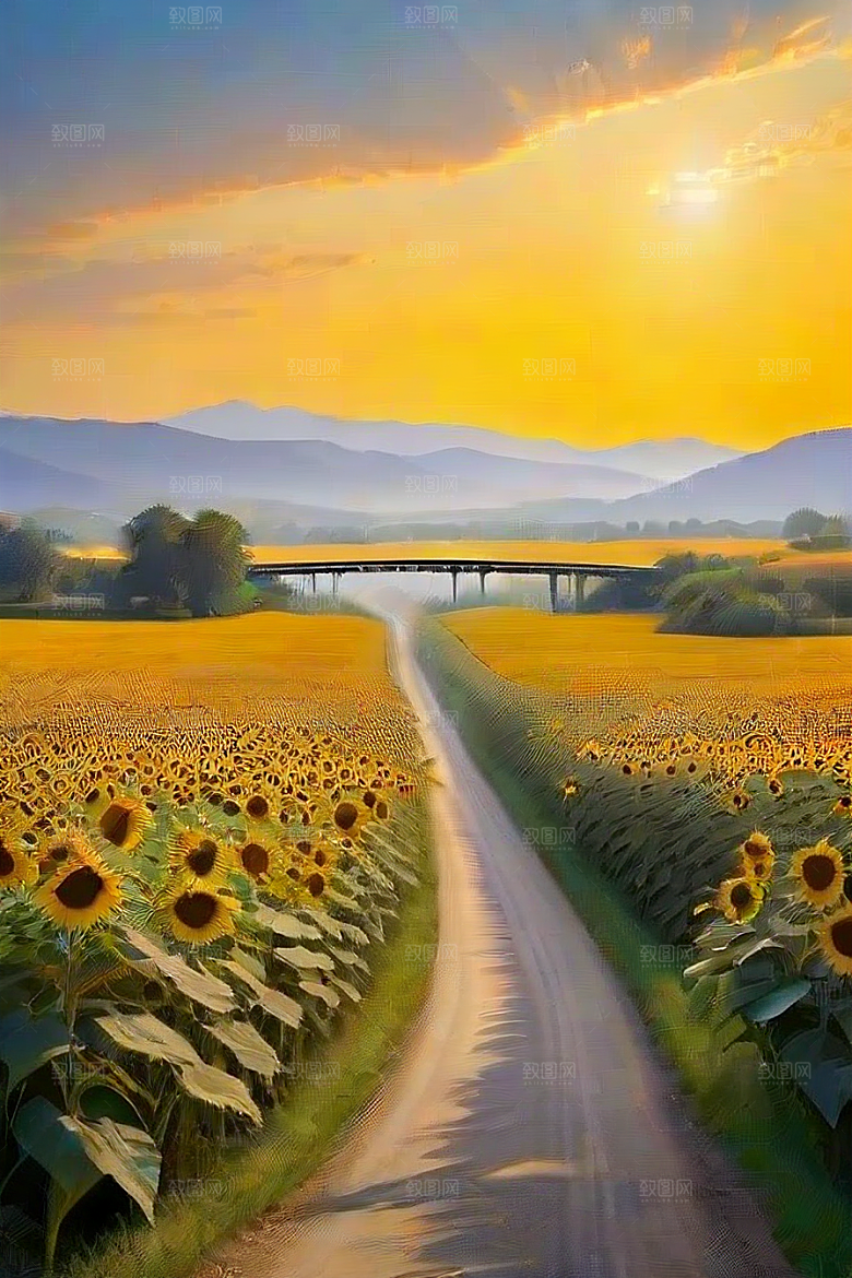 和谐色彩太阳花与高速公路的画面