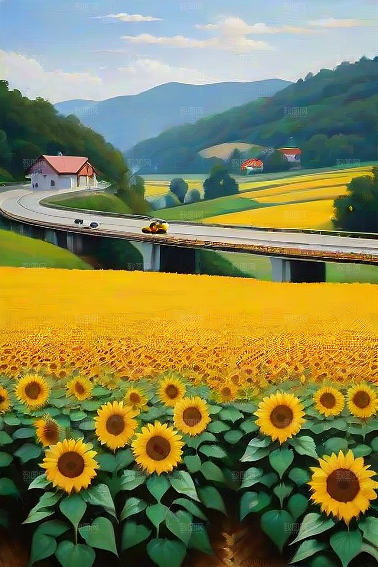 和谐色彩太阳花与高速公路的画面