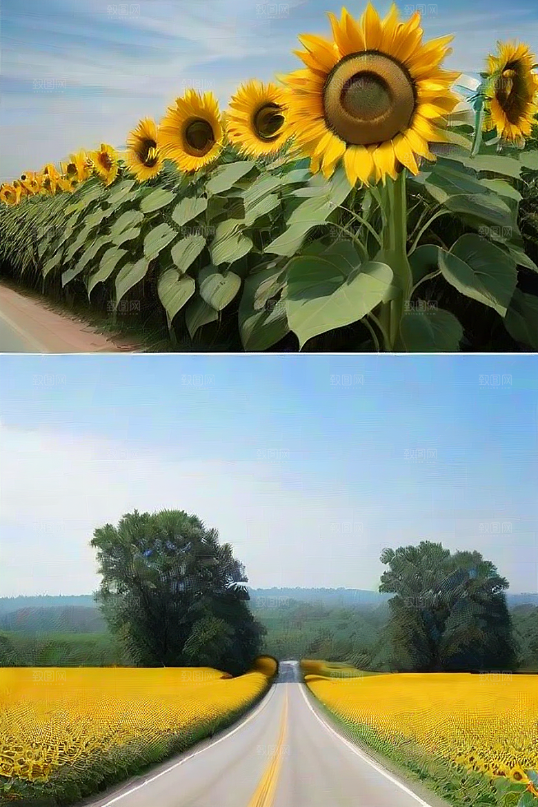 探索与自由沿着风景如画的公路踏上冒险之旅