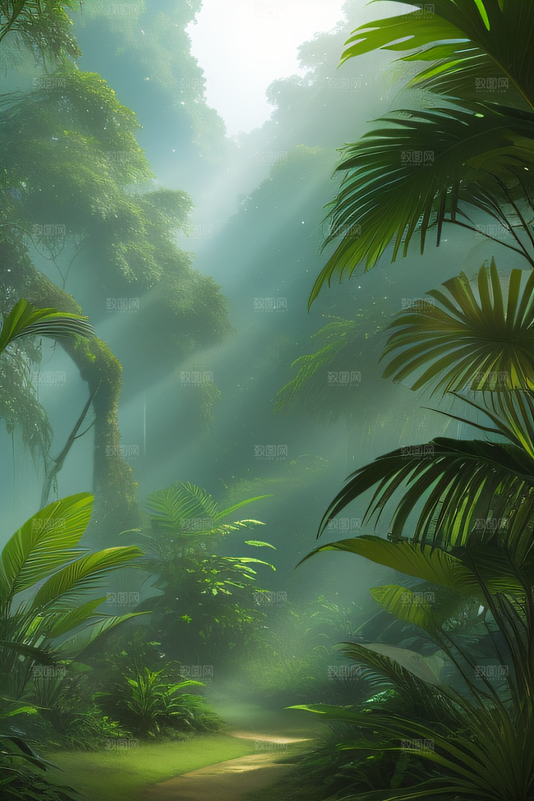 透明的热带雨林真实的光源照亮远方美景