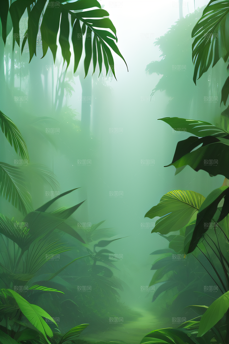 透明的热带雨林真实的光源照亮远方美景