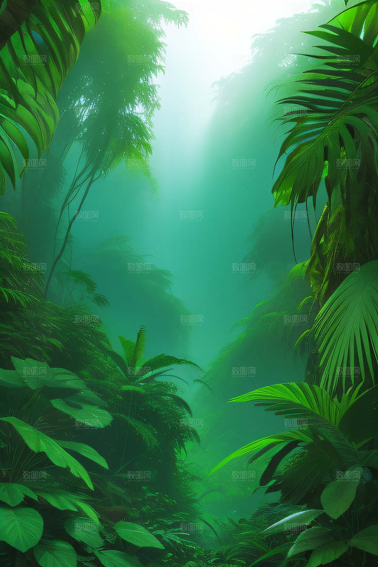 透明的天空真实热带雨林风景
